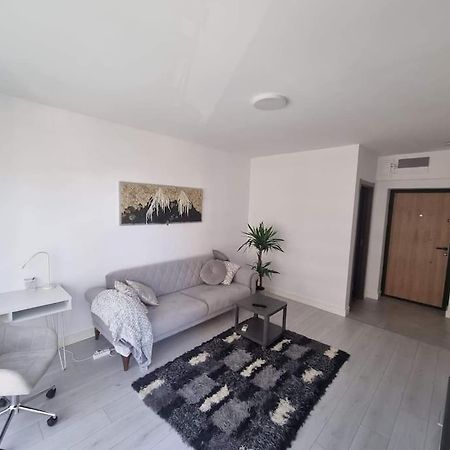 Lovely 1 Bedroom Livingroom Apartment Sector 1 Bucuresti Voluntari Екстериор снимка